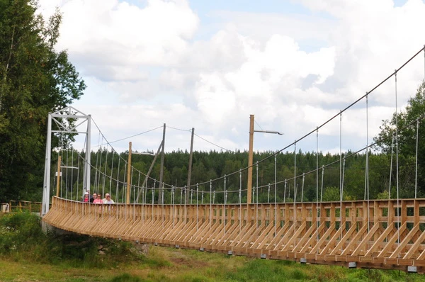 Pioneeri kurssitoiminta riippusilta
